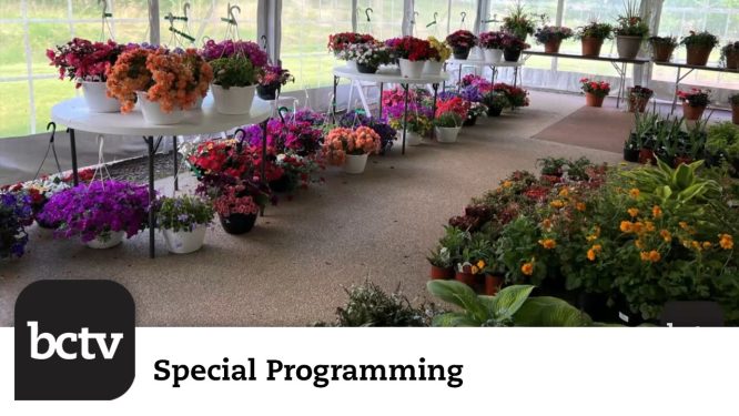 3rd Annual “Not Just Plants” Plant Sale on 5/7/26 | Garden Club of Reading