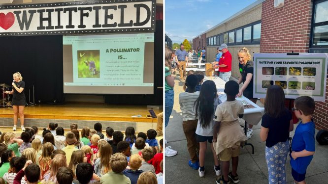 Bee‑Inspiring Foundation Provides Pollinator Education, Donates 580 Birdhouses at Whitfield Elementary