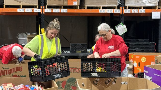 Nation’s Largest Single-Day Food Drive Brings in 82K Lbs. of Food to Helping Harvest