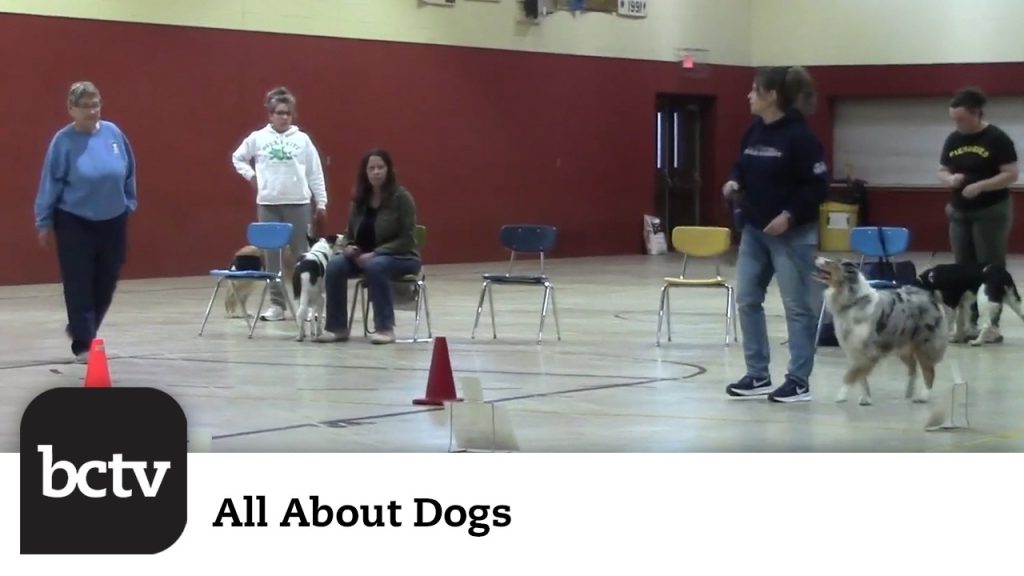 Berks County Dog Training Club’s Rally Class | All About Dogs