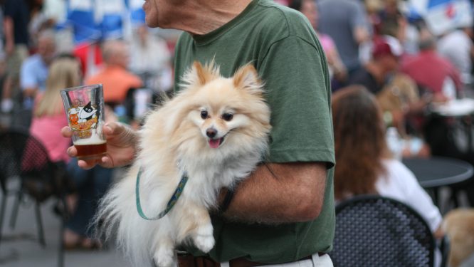 Humane PA Presents Pints for Pup