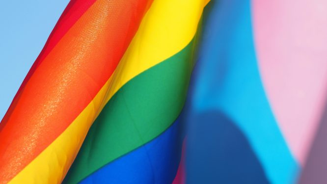 Reading Pride and Reading Public Library Launch Library Card Design Contest