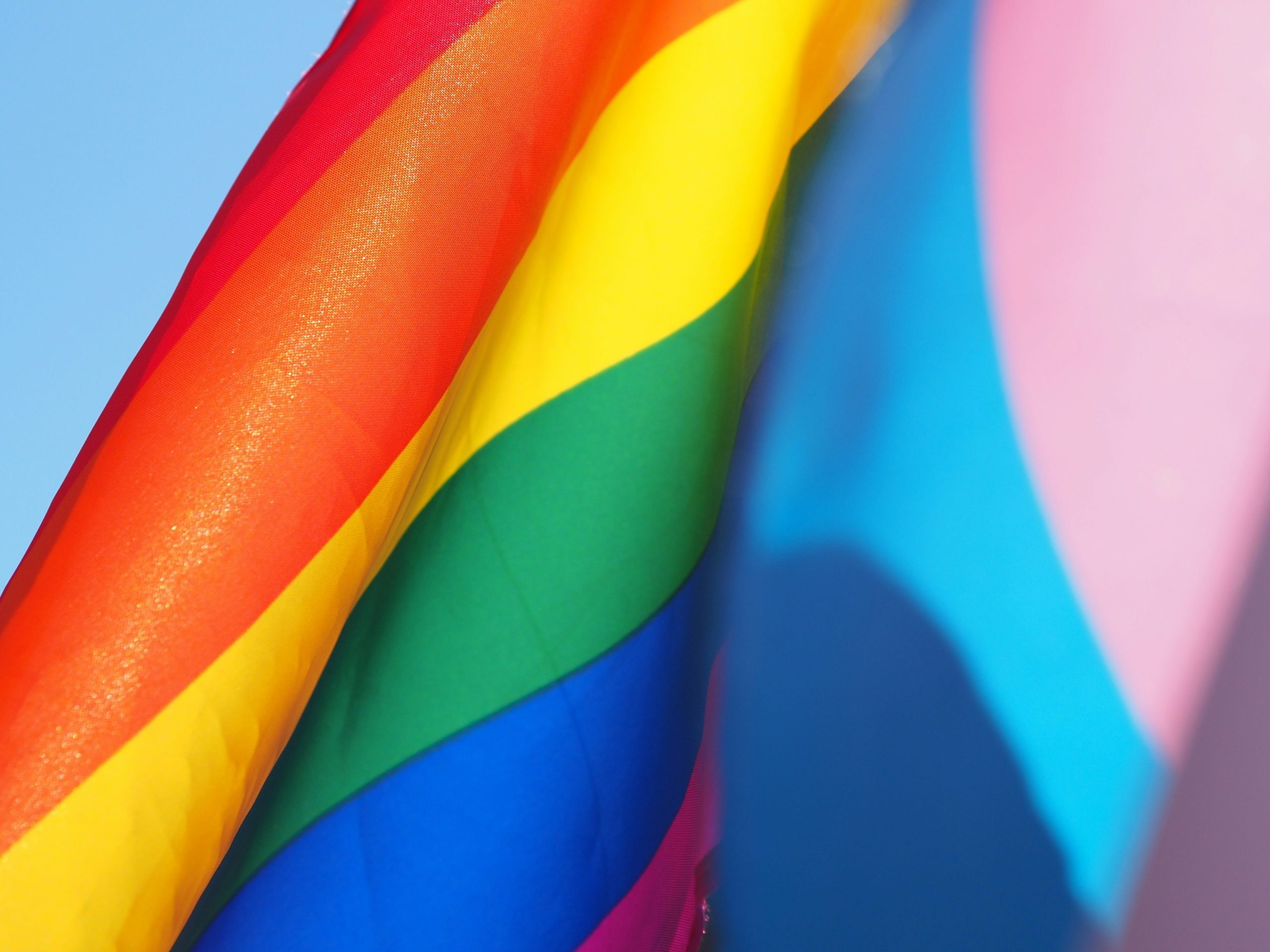 Reading Pride and Reading Public Library Launch Library Card Design Contest