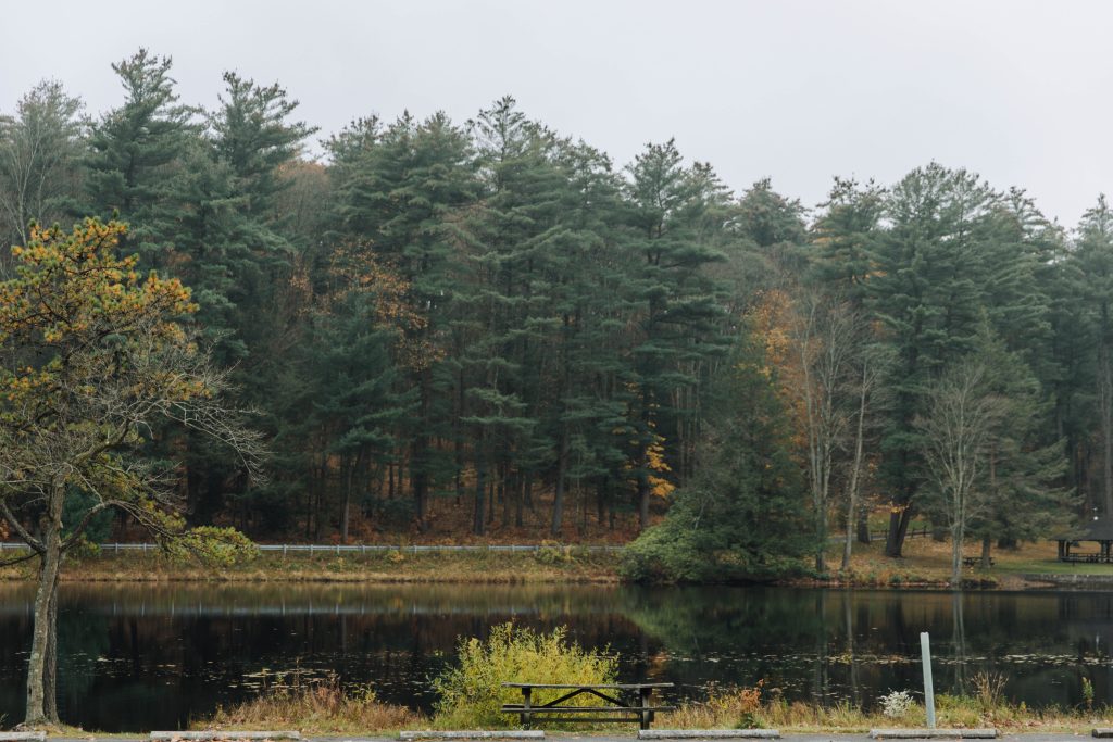 Millions From State Lands Could Be Redirected to Rural Pennsylvania to Help Make Up for Tax-Exempt Property