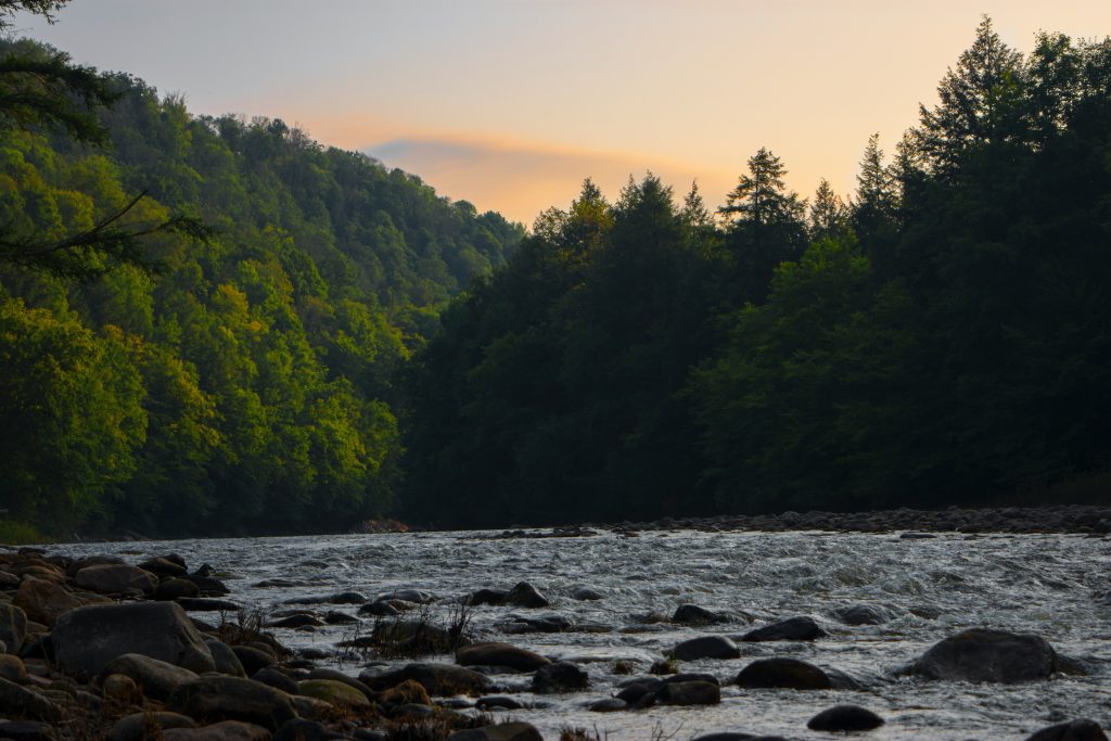 Statewide Initiative to Make Roads Safer, Reduce Wildlife Collisions, and Protect PA’s Natural Heritage