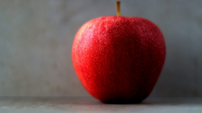 New Eligibility Guidelines for Free and Reduced School Meals Announced for the 2026-27 School Year
