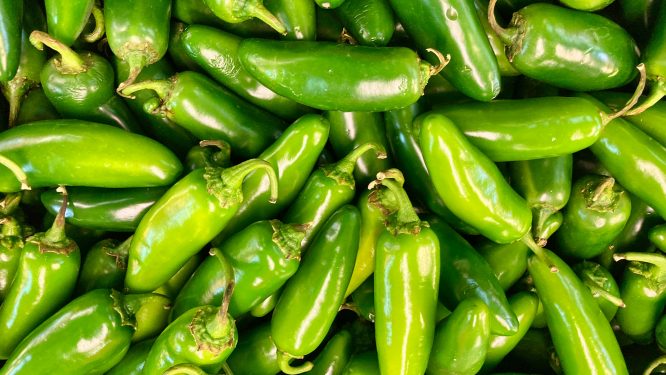 Consumers Tuning Out Most Food Safety Warnings, Report Finds