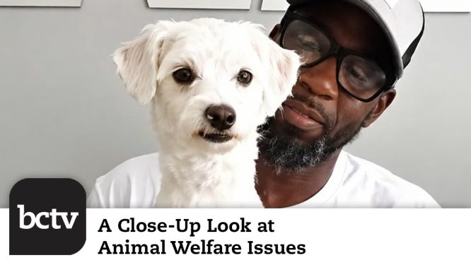End of Summer Episode | Animal Welfare Issues